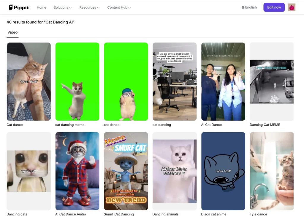 pippit ai cat dancing